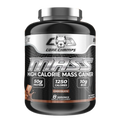 CORE CHAMPS MASS